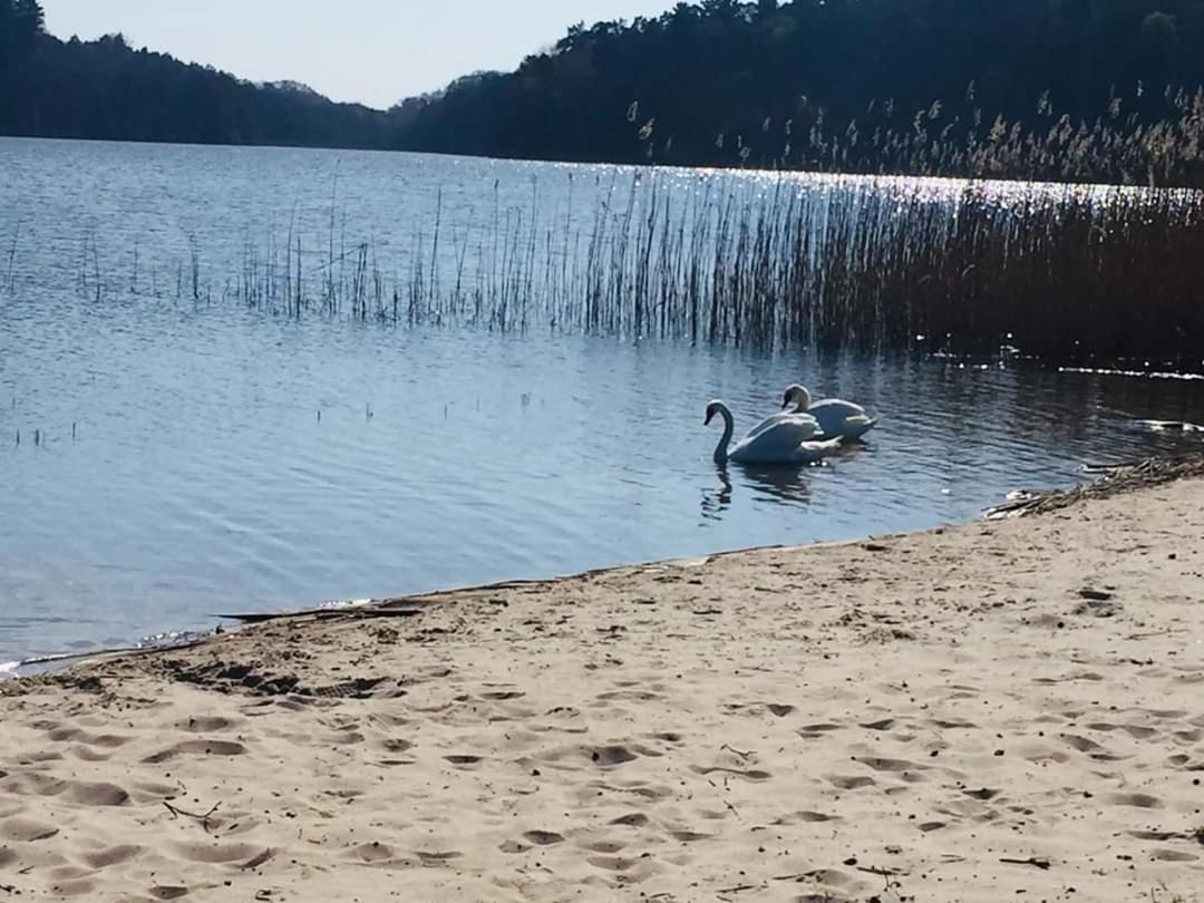 Apartament Nad Jeziorem Welle Kołczewo Buitenkant foto